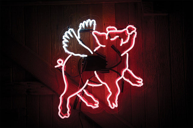 Flying Pig Neon Sign Wall Mounted