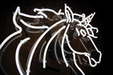 Unicorn Neon Sign Wall Mounted