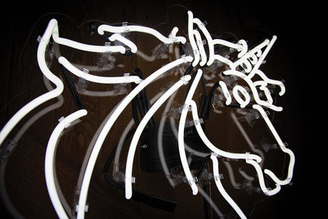 Unicorn Neon Sign Wall Mounted