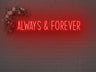 Always And Forever LED Neon Sign