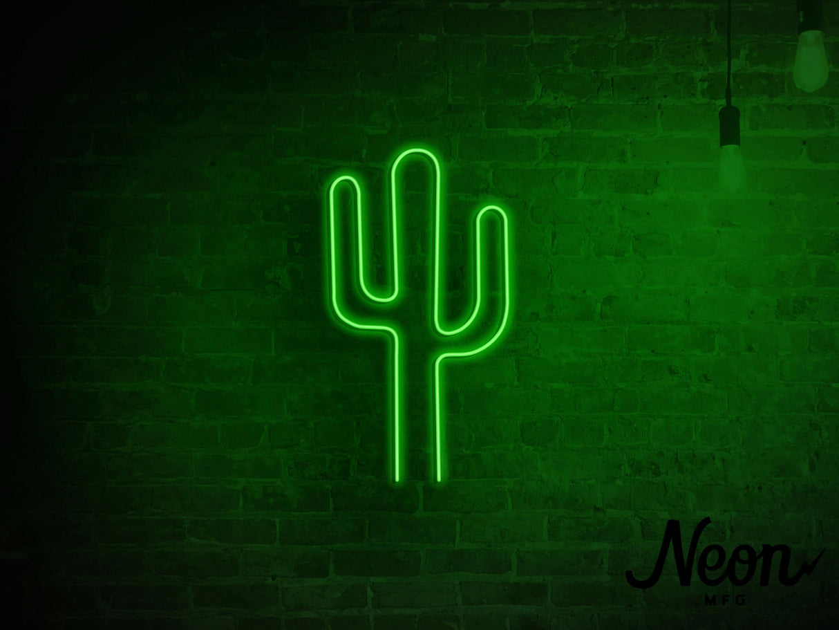 Test Cactus