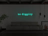 No Diggity LED Neon Sign