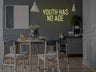 Youth Has No Age LED Neon Sign